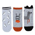 skarpetki stopki zebra 3 pary  CDS500-009